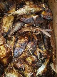 Bakasi Cameroon bonga fish